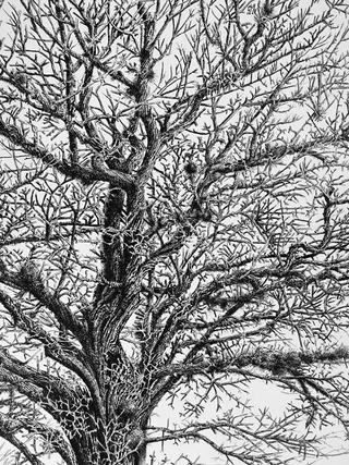 Zeno Filippini, My tree is your tree (dettaglio), 2018, china al tratto, inchiostro UV e acrilico su pannello multistrato, 160 cm x 115 cm