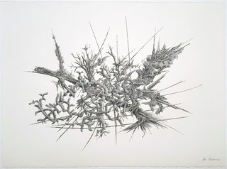 Zeno Filippini, Totholz mit Moosbewuchs, 2024, china al tratto su papier Arches grain torchon (300 g/m2), 760 mm x 560 mm
