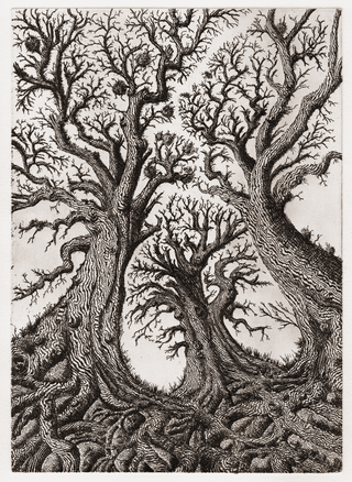 Zeno Filippini, Selva, 2024, acquaforte stampata su carta Magnani acquaforte (310 g/m2), 31 cm x 21 cm