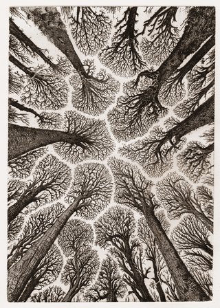 Zeno Filippini, Senza titolo II, 2025, acquaforte stampata su carta Hahnemühle (300 g/m2), 30 cm x 24 cm