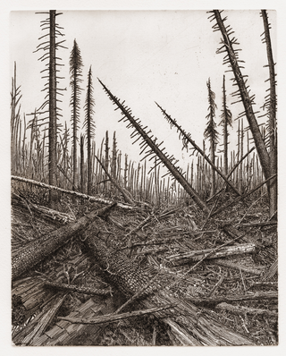 Zeno Filippini, Senza titolo IV, 2025, acquaforte stampata su carta Hahnemühle (300 g/m2), 30 cm x 24 cm